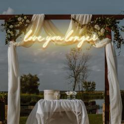 love you longer led neon sign light 7