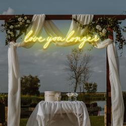 love you longer led neon sign light 9