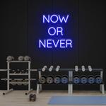 now or never led neon sign light 0