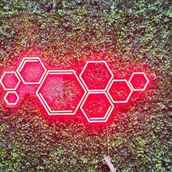 the art of neon sign 1485 3