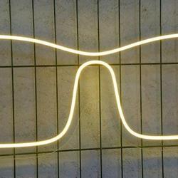 the art of neon sign 1890 3