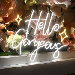 the art of neon sign 2132 3