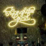 the art of neon sign 2231 0