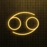 the art of neon sign 2244 0