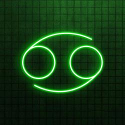 the art of neon sign 2244 2