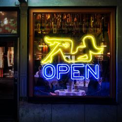 the art of neon sign 2249 1