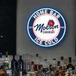 the art of neon sign 3263 0