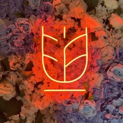 the art of neon sign 630 6
