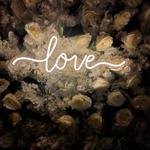 the art of neon sign 652 0