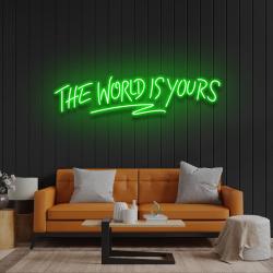 the world is your led neon sign light 3