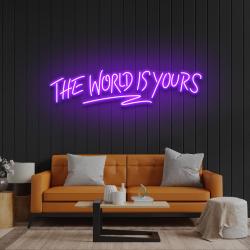 the world is your led neon sign light 6