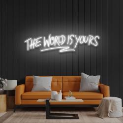 the world is your led neon sign light 8