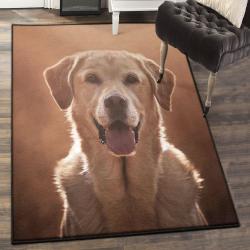 Labrador Dog Carpets For Living Room, Labrador Rug